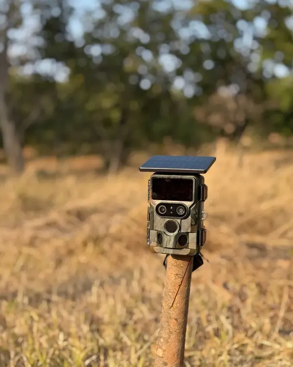 A solar-powered camera trap on a post in dry grassland